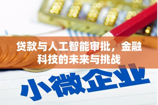 兰屿贷款与人工智能审批，金融科技的未来与挑战