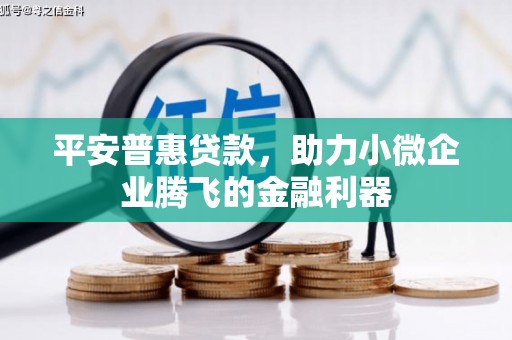 兰屿平安普惠贷款，助力小微企业腾飞的金融利器
