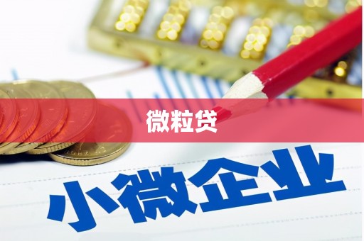 兰屿微粒贷