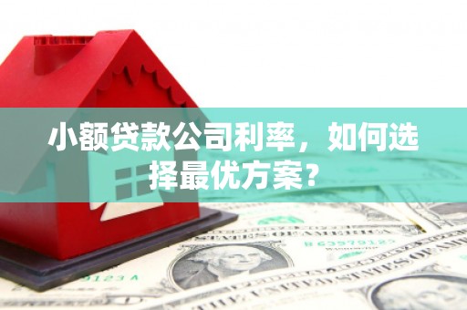 兰屿小额贷款公司利率，如何选择最优方案？