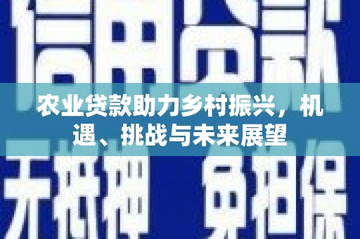 兰屿农业贷款助力乡村振兴，机遇、挑战与未来展望