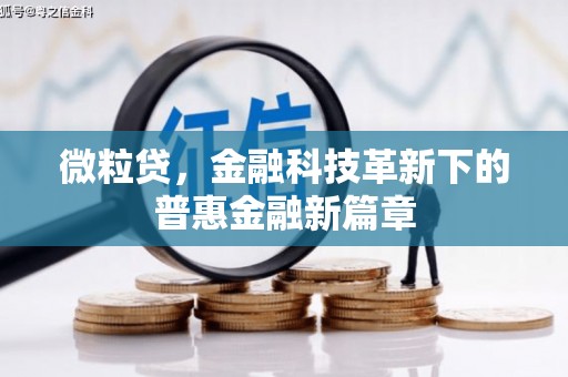 兰屿微粒贷，金融科技革新下的普惠金融新篇章