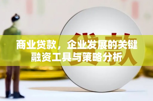 兰屿商业贷款，企业发展的关键融资工具与策略分析