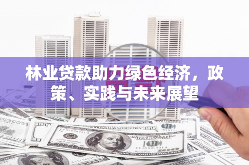 兰屿林业贷款助力绿色经济，政策、实践与未来展望