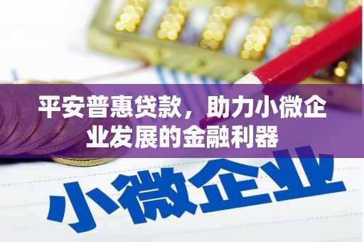 兰屿平安普惠贷款，助力小微企业发展的金融利器