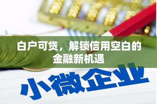 兰屿白户可贷，解锁信用空白的金融新机遇