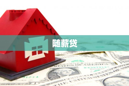 兰屿随薪贷