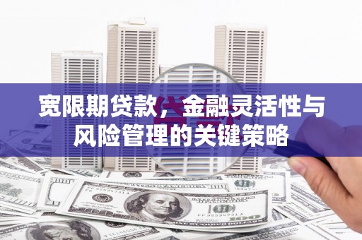 兰屿宽限期贷款，金融灵活性与风险管理的关键策略