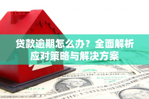兰屿贷款逾期怎么办？全面解析应对策略与解决方案