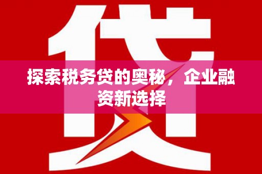 兰屿探索税务贷的奥秘，企业融资新选择