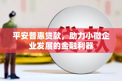 兰屿平安普惠贷款，助力小微企业发展的金融利器