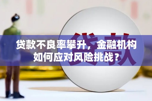 兰屿贷款不良率攀升，金融机构如何应对风险挑战？