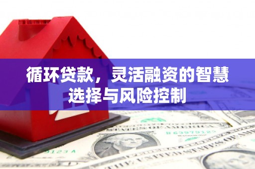 兰屿循环贷款，灵活融资的智慧选择与风险控制