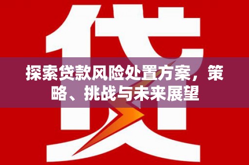 兰屿探索贷款风险处置方案，策略、挑战与未来展望