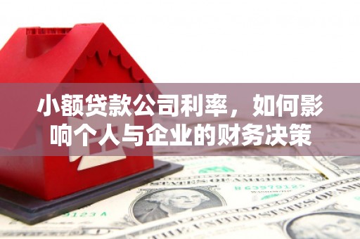 兰屿小额贷款公司利率，如何影响个人与企业的财务决策