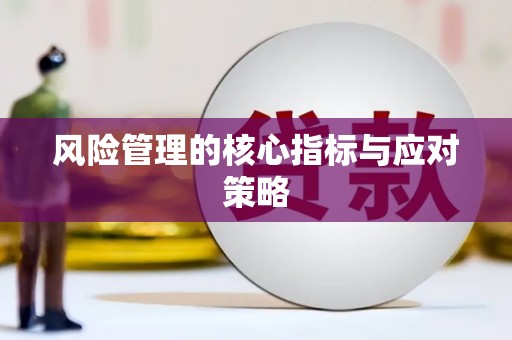 兰屿风险管理的核心指标与应对策略