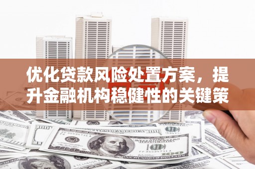 兰屿优化贷款风险处置方案，提升金融机构稳健性的关键策略