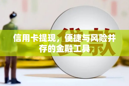 兰屿信用卡提现，便捷与风险并存的金融工具
