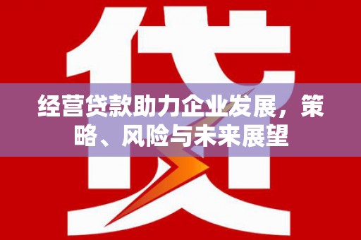 兰屿经营贷款助力企业发展，策略、风险与未来展望