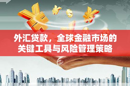 兰屿外汇贷款，全球金融市场的关键工具与风险管理策略