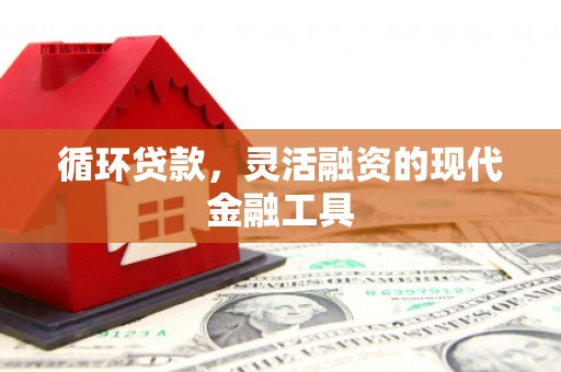 兰屿循环贷款，灵活融资的现代金融工具