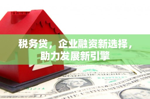兰屿税务贷，企业融资新选择，助力发展新引擎
