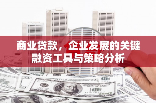 兰屿商业贷款，企业发展的关键融资工具与策略分析