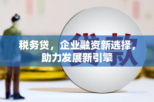 兰屿税务贷，企业融资新选择，助力发展新引擎
