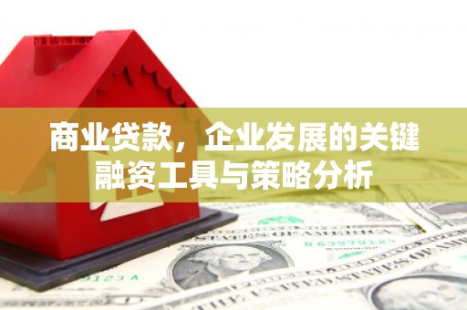 兰屿商业贷款，企业发展的关键融资工具与策略分析