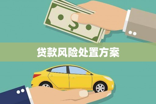 兰屿贷款风险处置方案