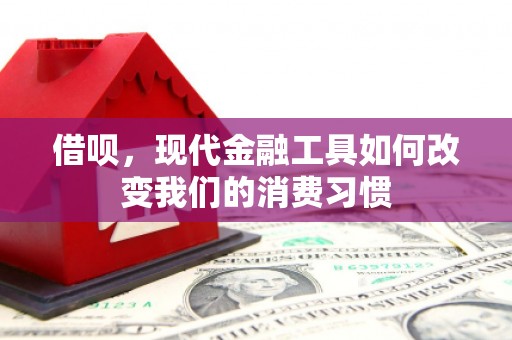 兰屿借呗，现代金融工具如何改变我们的消费习惯