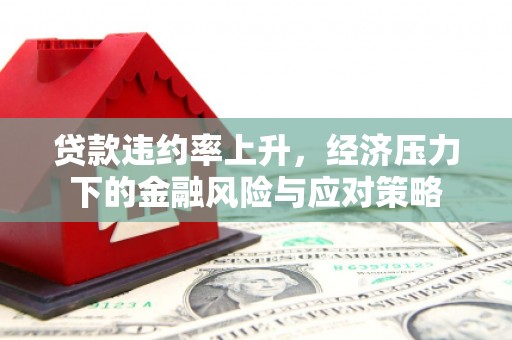 兰屿贷款违约率上升，经济压力下的金融风险与应对策略