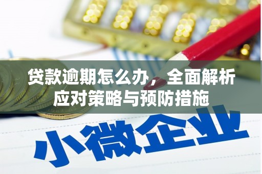 兰屿贷款逾期怎么办，全面解析应对策略与预防措施
