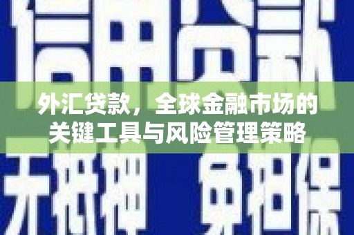 兰屿外汇贷款，全球金融市场的关键工具与风险管理策略