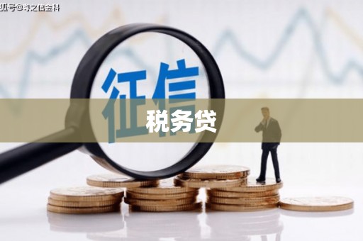 兰屿税务贷