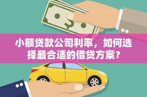 兰屿小额贷款公司利率，如何选择最合适的借贷方案？