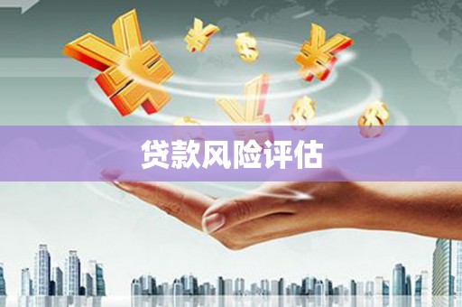 兰屿贷款风险评估
