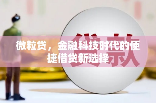兰屿微粒贷，金融科技时代的便捷借贷新选择