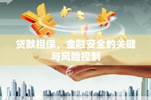 兰屿贷款担保，金融安全的关键与风险控制