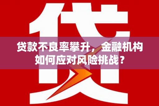 兰屿贷款不良率攀升，金融机构如何应对风险挑战？