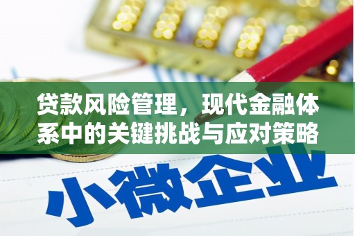 兰屿贷款风险管理，现代金融体系中的关键挑战与应对策略