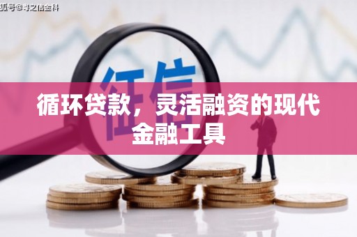 兰屿循环贷款，灵活融资的现代金融工具