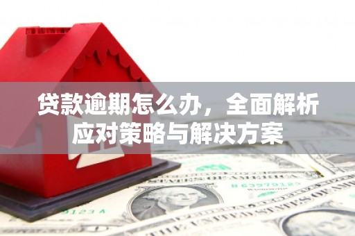 兰屿贷款逾期怎么办，全面解析应对策略与解决方案