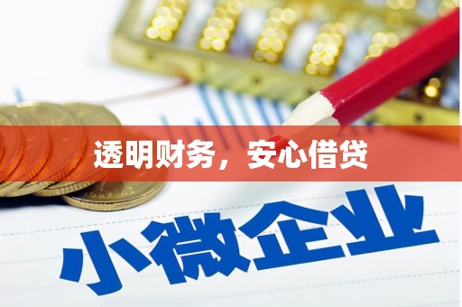兰屿透明财务，安心借贷