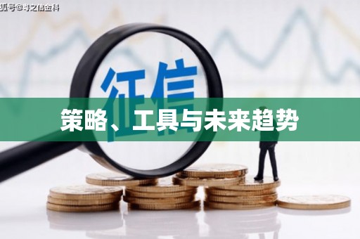 兰屿策略、工具与未来趋势