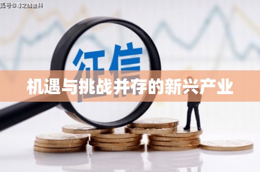 兰屿机遇与挑战并存的新兴产业
