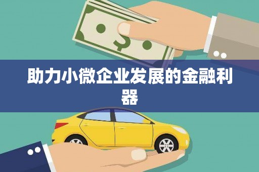 兰屿助力小微企业发展的金融利器