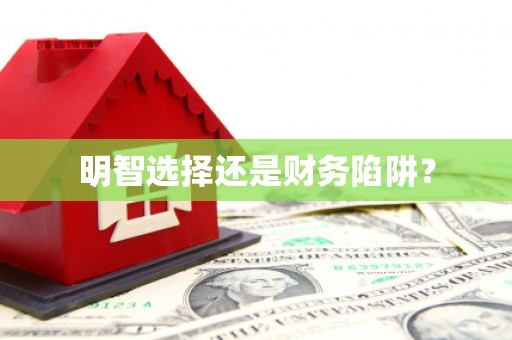 兰屿明智选择还是财务陷阱？