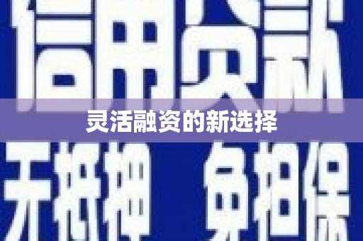 兰屿灵活融资的新选择