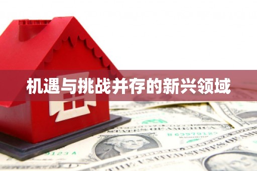 兰屿机遇与挑战并存的新兴领域